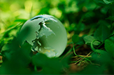 Environment and resource measures